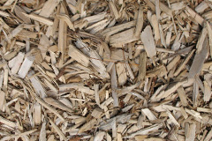 biomass boilers Rattery
